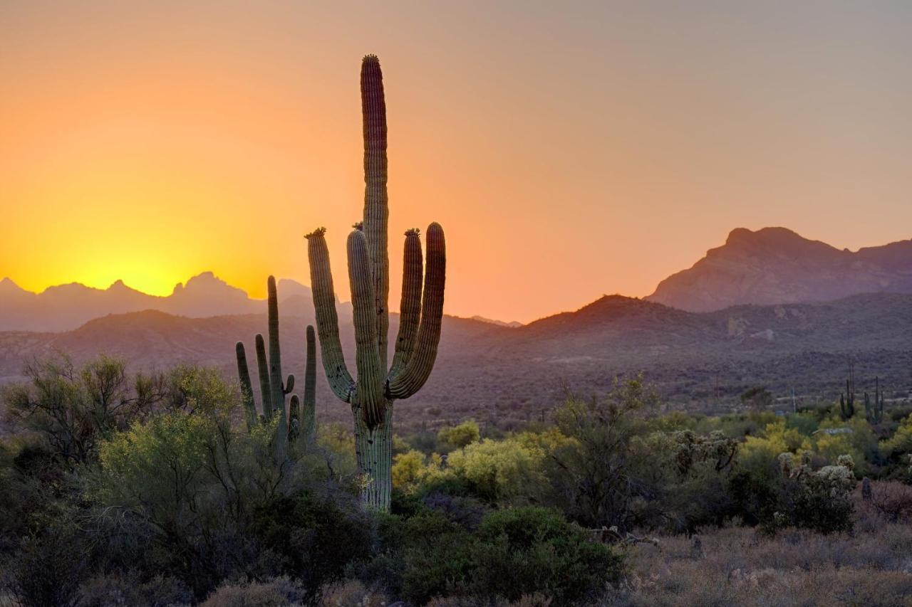 Aloft Scottsdale Hotel Luaran gambar